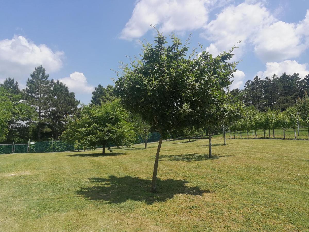 Bottyahat Guesthouse Rezi Dış mekan fotoğraf